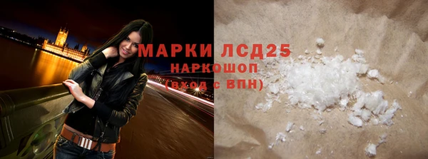 прущие грибы Карпинск