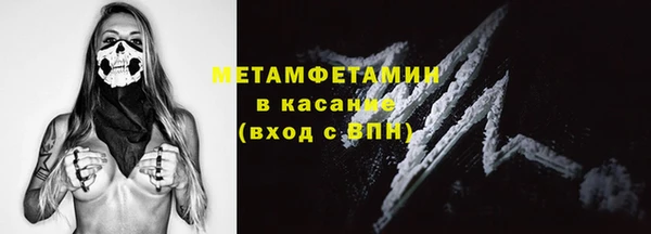 прущие грибы Карпинск