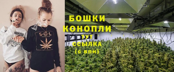 прущие грибы Карпинск