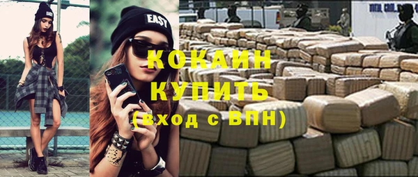 прущие грибы Карпинск