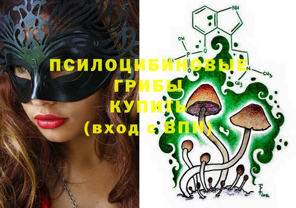 apvp Касимов