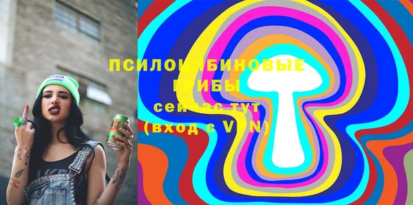 apvp Касимов