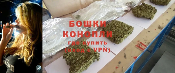 прущие грибы Карпинск