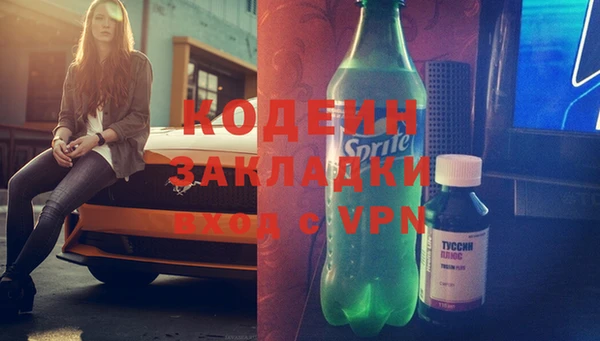 прущие грибы Карпинск