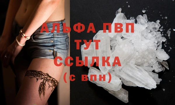 прущие грибы Карпинск