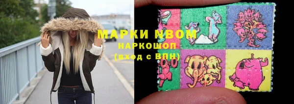 прущие грибы Карпинск