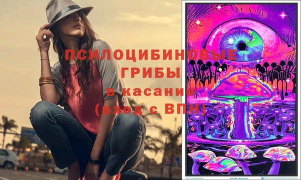 прущие грибы Карпинск