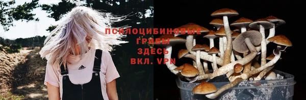 mdpv Карталы
