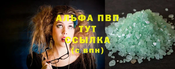 прущие грибы Карпинск