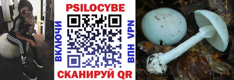 Псилоцибиновые грибы мухоморы  Купить  Волоколамск 